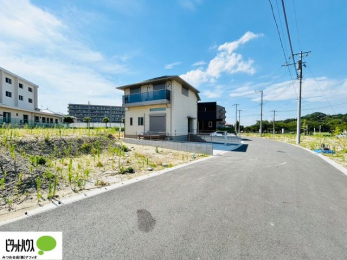 �y�n�ʐ^�@7/31