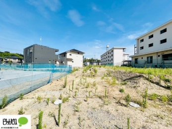 �y�n�ʐ^�@7/31