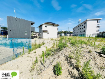 ���̑��@7/31