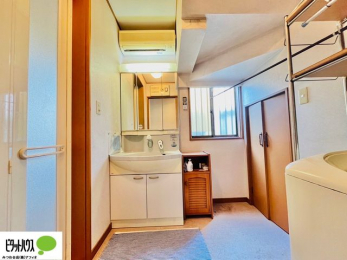 ���ʑ�E���ʏ��@���ʎ��ɏ���������A�J�r�\�h�ɂ��B