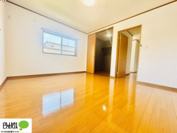 ���̑����ρ@�傫�ȑ����疾�邢�z�˂�������܂��B