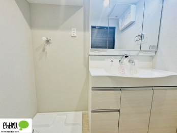 ���ʑ�E���ʏ��@�O�ʋ��̗���A�V���N���ȂǑ������[��������A�L�X�Ƃ������ʉ��ϑ�ł��B