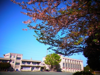 ���ӊ��@��t�s����̑䏬�w�Z �k��9���B 710m