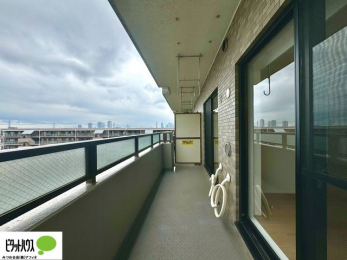 �o���R�j�[�@�z������̗ǂ��L�X�o���R�j�[�B