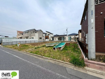 �y�n�ʐ^�@�~�n�L�X��80�؁I