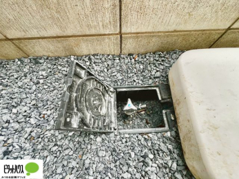 ���̑��@��ԂȂǂɕ֗��ȊO�����B