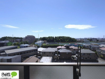 ���̑��@�o���R�j�[����̒��]�B