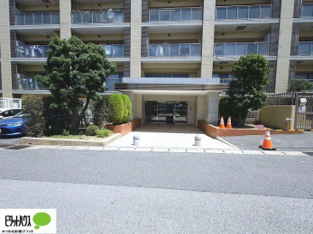 �G���g�����X�@�L�X�Ƃ������ꂢ�ȃG���g�����X