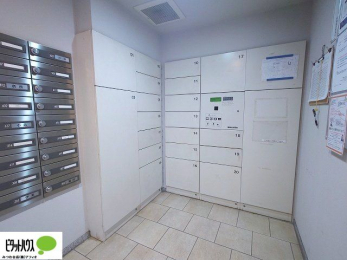 ���̑��@��z�{�b�N�X