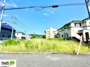 �y�n�ʐ^�@�~�n�L�X��67�؁I