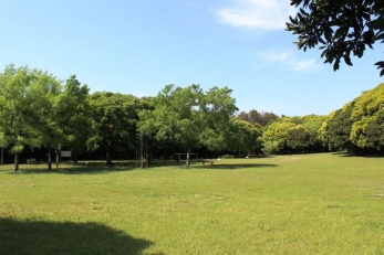 ���ӊ��@�s���ӂꂠ������ �k��3���B 240m