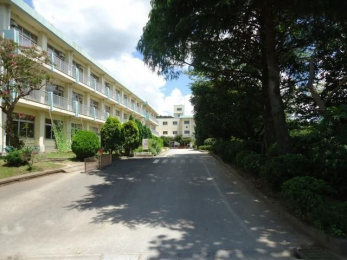 ���ӊ��@�s���s���L�H�����w�Z �k��23���B 1800m