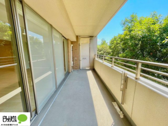 ���̑��@�o���R�j�[����̒��]�B