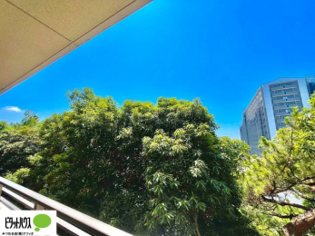 ���̑��@�o���R�j�[����̒��]�B