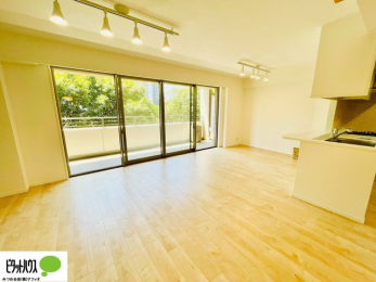 ���̑��@�L�X�k�c�j�I����̑傫�ȃ\�t�@��u���Ă������f��ӏ܂��ǂ��ł��ˁB