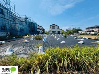 �y�n�ʐ^�@�����ʐ^�F2025�N8��29��