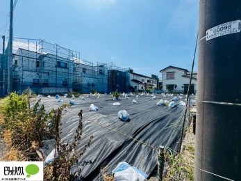 �y�n�ʐ^�@�����ʐ^�F2025�N8��29��