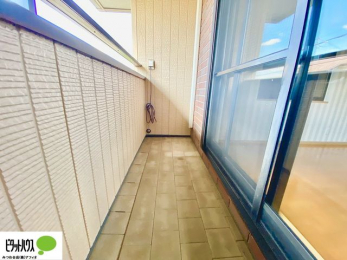 �o���R�j�[�@�z������̗ǂ��L�X�o���R�j�[�B