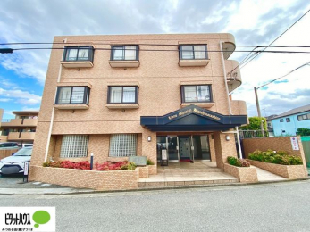 ���̑��@�G���g�����X