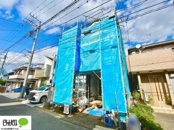 �@���n�����ʐ^�@11��16��