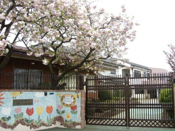 ���ӊ��@�݂��ݗc�t�� �k��6���B 480m