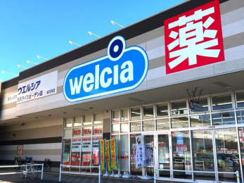 ���ӊ��@�E�G���V�A�Ό����C�t�K�[�f���X �k��8���B 570m