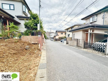 ���̑��@11��16���@���n�����ʐ^