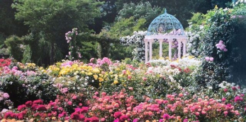 ���ӊ��@�����o���� �k��16���B 1270m