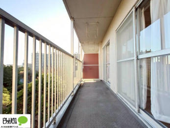 ̑@zc₽̐󕨂郏ChoRj[