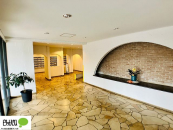 �G���g�����X�@�L�X�Ƃ������ꂢ�ȃG���g�����X