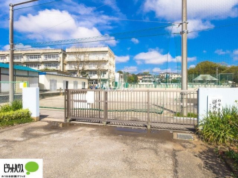 ���ӊ��@���s���t�䒆�w�Z �k��19���B 1500m