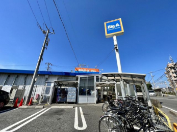 ���ӊ��@�r�b�O�E�G�[/������a�c�X �k��7���B 560m