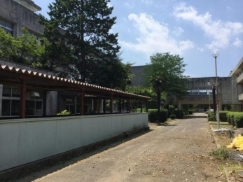 ���ӊ��@�l�X���s��/���c���w�Z �k��33���B 2600m