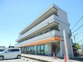 ���ӊ��@��t�L�̐X�X�֋� �k��8���B 590m