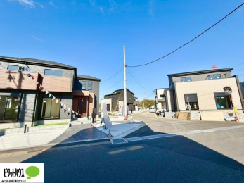 �O�ώʐ^�@�p�n�ɂ��z�����蕗�ʂ��ǍD�ł�