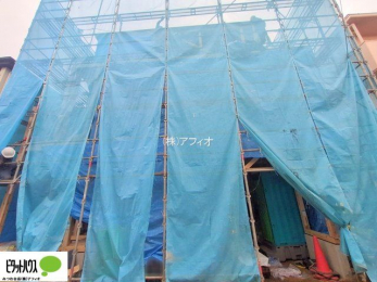 �O�ώʐ^�@���n�����ʐ^�@11��27��