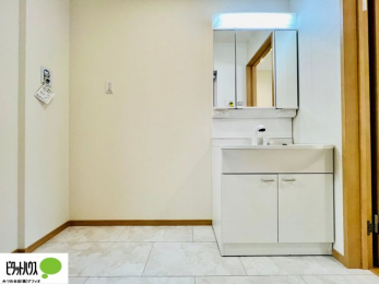 ���ʑ�E���ʏ��@�{�H��ʐ^�@�O�ʋ��̗���A�V���N���ȂǑ������[��������A�L�X�Ƃ������ʉ��ϑ�ł��B