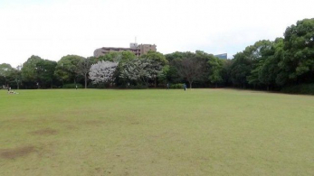 ���ӊ��@�����C�l�Βn �k��4���B 290m