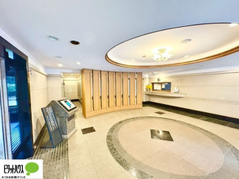 ���̑��@�L�X�Ƃ������ꂢ�ȃG���g�����X