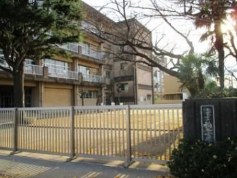 ���ӊ��@��t�s����u���w�Z �k��7���B 520m