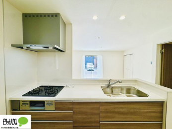 Lb`@{Hʐ^FlC̃JE^[Lb`́ArOɂ邲Ƒ̗lqf܂