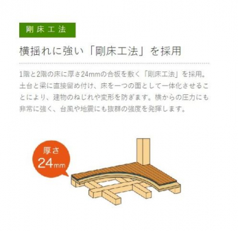 Ԏ}îPˌj@H@hɋH@B24~̍~ByƗɒڗߕtA1̖ʂƂĈ̉鎖ɂ茚̂˂ό`hB̈ɂɋ䕗nkɋx𔭊B