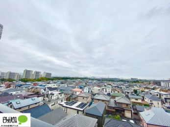 ���̑��@���]