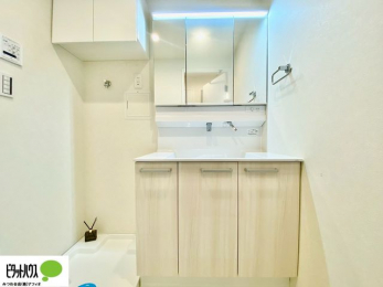 ���ʑ�E���ʏ��@�O�ʋ��̗���A�V���N���ȂǑ������[��������A�L�X�Ƃ������ʉ��ϑ�ł��B