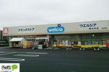 ���ӊ��@�E�G���V�A������X �k��17���B 1350m