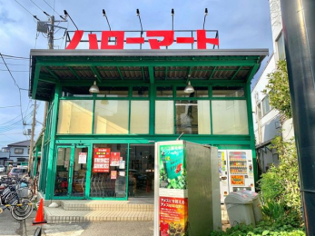 ӊ@n[}[gX k5B 398m