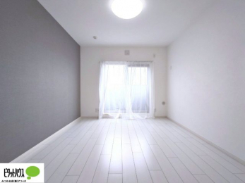 ���̑����ρ@�傫�ȑ����疾�邢�z�˂�������܂��B