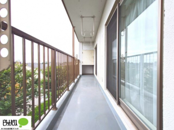 �o���R�j�[�@�z������̗ǂ��L�X�o���R�j�[�B