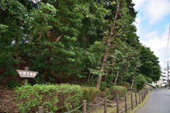 ���ӊ��@����ؗΒn �k��16���B 1270m