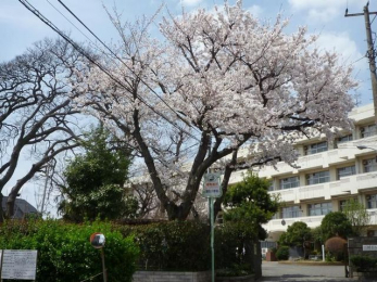 ���ӊ��@�D���s���@���䏬�w�Z �k��18���B 1400m